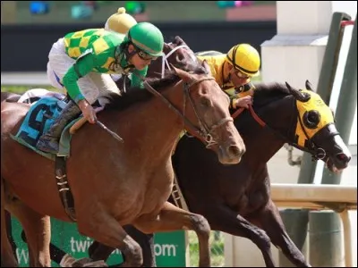 Quelle race de cheval est en compétition au Kentucky Derby ?