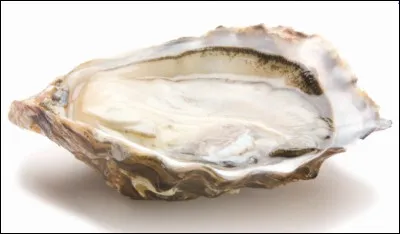 La ville de Cancale, connue pour ses huîtres au goût de noisette, est située dans le département de :