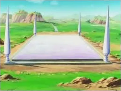 Comment s'appelle l'arène construite par Cell ?