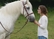 Test  cheval, es-tu plutt stresse ou relaxe ?
