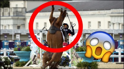 Si une personne de ta famille tombe de cheval et meurt :