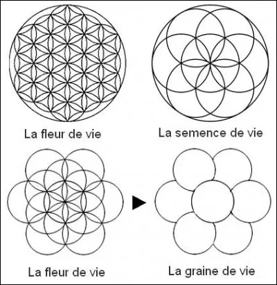 Indice : signe d'Eau sensible
Candidat idéal : indulgent - calme - solide - doux - rationnel - protecteur
Candidat rédhibitoire : brusque - sarcastique - impatient - aventurier - pressé - indifférent 
Pour que ça marche : les moments intimes - la douceur et l'écoute - le sens de la famille
Cadeau idéal : un canapé confortable 
Célébrité : Samy Naceri