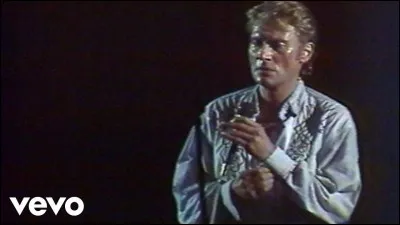 ''L'Envie'' est un titre de Johnny Hallyday. Quel terme dermatologique désigne l'envie appelée aussi ''tache de vin'' ?