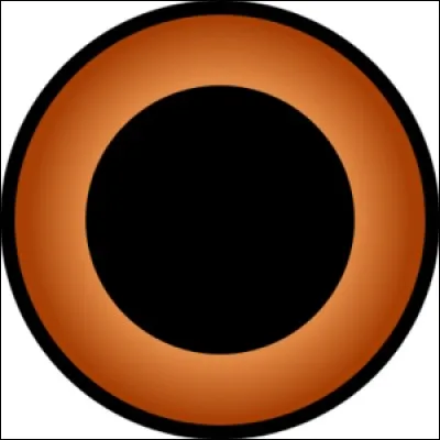 Le tenseigan est la phase supérieure du :