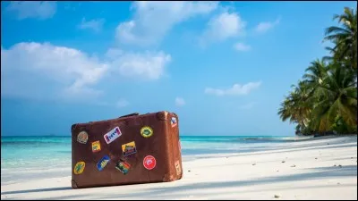 "Voyage, voyage" est interprété par...