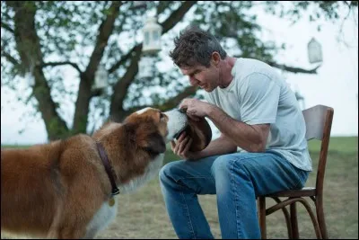 Dans quel film peut-on le voir ainsi ?