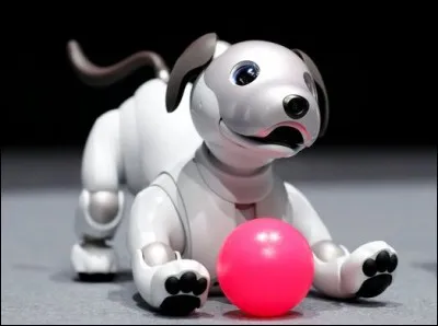 Et ce chien-là, inventé par Sony dans les années 1990, comment s'appelle-t-il ?