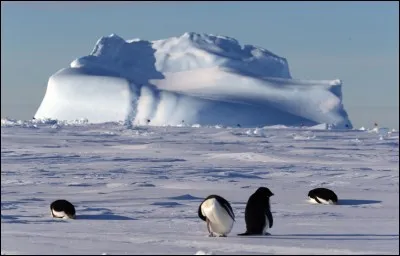Dans 30 ans, de quel pourcentage auront diminué les glaciers des Andes tropicales ? De ...