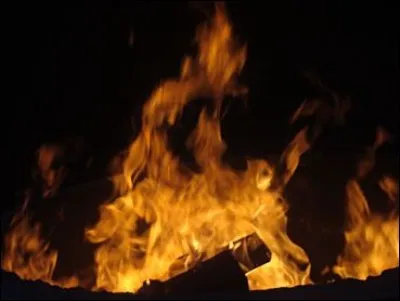 De qui est cette phrase : "le bonheur, cette chose qui n'existe pas, et qui pourtant un jour n'est plus" ?