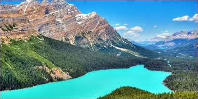 Ton paysage préféré est :