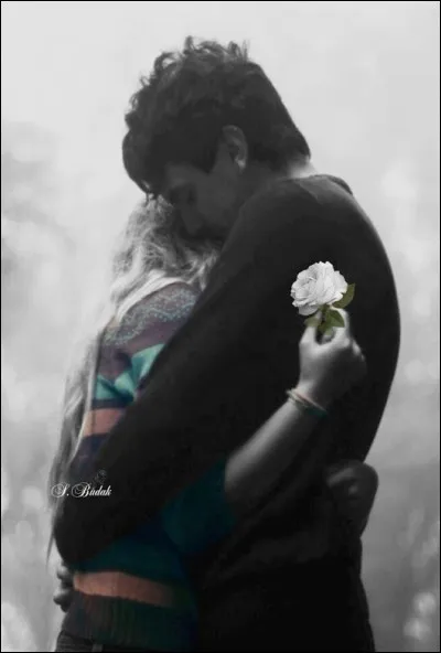 Qui chantait "Puisqu'on ne vivra jamais tous les deux..." ?