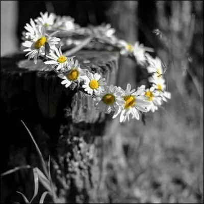Quels acteurs se partageaient l'affiche dans "Les Mariés de l'an II" ?
