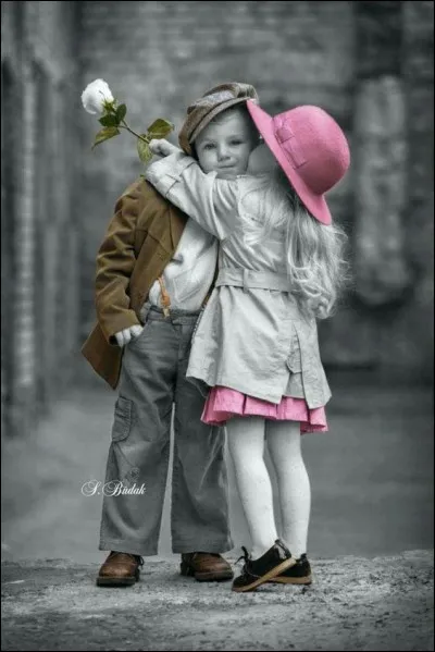 Qui est l'auteur du livre "Les Deux Nigauds" ?