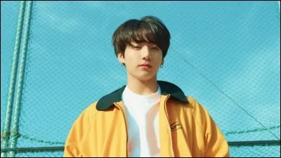 Quelles sont les couleurs préférées de Jungkook ?