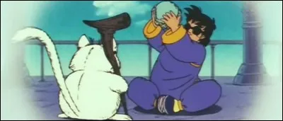 Qui est la seule personne qui soit déjà parvenue au sommet de la tour Karin, dans le passé ?