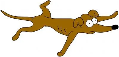 Comment s'appelle  ce chien ?