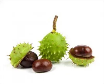 Consommation > Il est un pays où la moitié de la population - et ça fait beaucoup - n'a jamais goûte de chocolat. Lequel ?