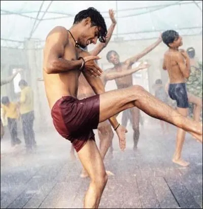 Quel vent tropical s'accompagne de pluies abondantes et rgulires ?