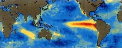 Quel courant chaud du Pacifique entrane priodiquement des drglements climatiques mondiaux ?