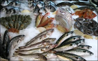 Quel poisson est commercialisé sous le nom de "lotte de mer" ?