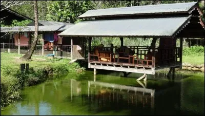 Habitation de jungle en Guyane française !