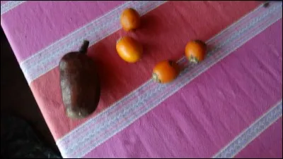 En 1955, Le titre de ce chanteur, Tutti Frutti, obtient un succès considérable, il devient un morceau phare du Rock n'Roll, trouvez le nom du chanteur !