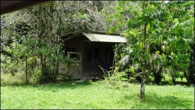 Qui a chanté "Ma cabane au fond du jardin" ?