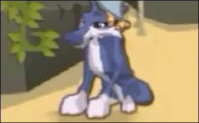 Qui est ce petit loup ? (3)