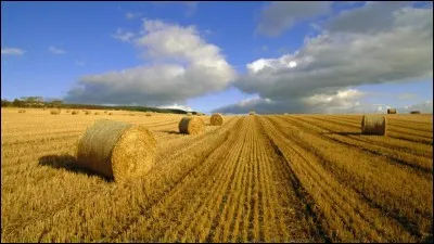 Quelle est la déesse de la moisson ?