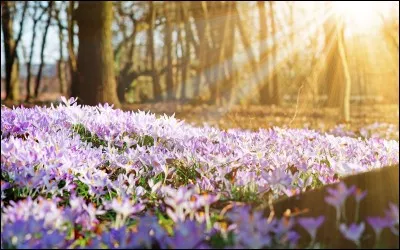 Quel est le déesse du printemps ?