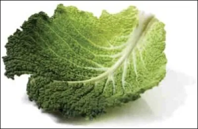 Les dire "ensablées" est façon de parler,
Feuille de crucifère est aussi familier
Qu'elles demeurent poilues
n'est point par défaut de vertus.
Parfois sont décollées ;
Comme celles de Mickey.
Mais prenez garde aux murmures,
Car en certaines contrées
en sont pourvus les murs !
Ne pas se les faire tirer
Pas plus en pointe tailler
Pour un rappel à l'ordre : 
On a vu un boxeur en mordre !
Qui sont-ce ?