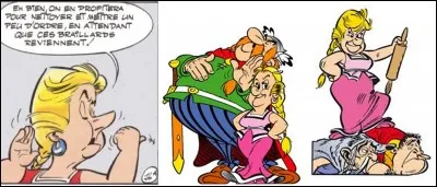 Ce personnage apparaît pour la première fois dans « Le combat des chefs » mais il ne sera nommé qu'à partir du « bouclier arverne ». Ce personnage veut que l'on respecte son statut et n'hésite pas à le défendre.
Dans la version anglaise, il se nomme « Impedimenta » !
Qui est ce personnage ?