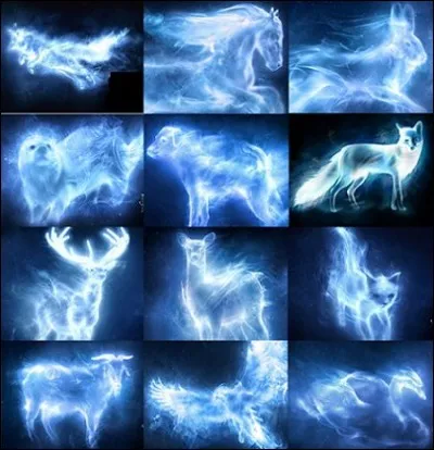 Quel est son patronus ?