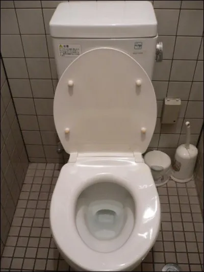 Apparemment, l'eau des toilettes est potable !