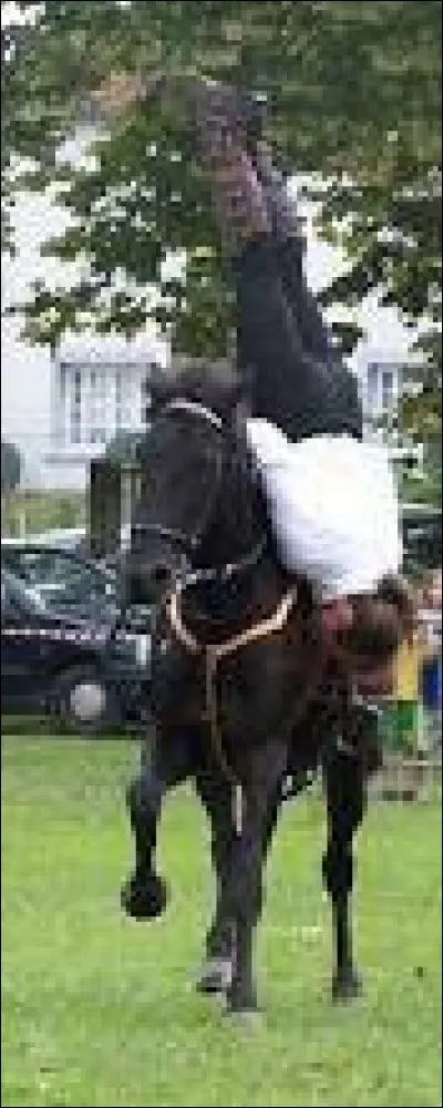 Plusieurs miliciens sont du corps des (...), qui est aussi le nom de l'équipe de hockey de Drummondville.