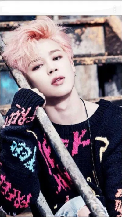 Quel est le plat préféré de Jimin ?