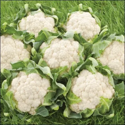 Quel est le mot pour ces légumes en espagnol ?