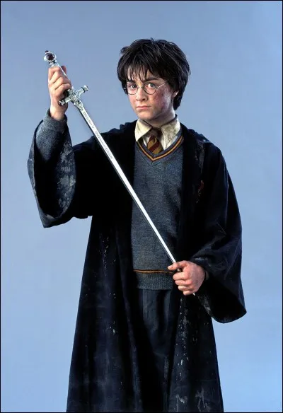 Ton sorcier préféré, dans ''Harry Potter'', est...