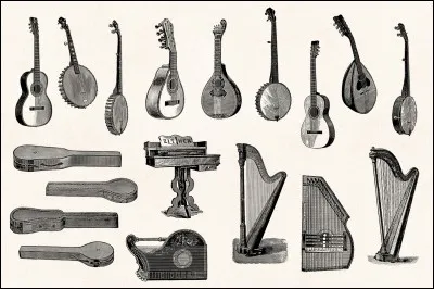 Choisis un instrument de musique.