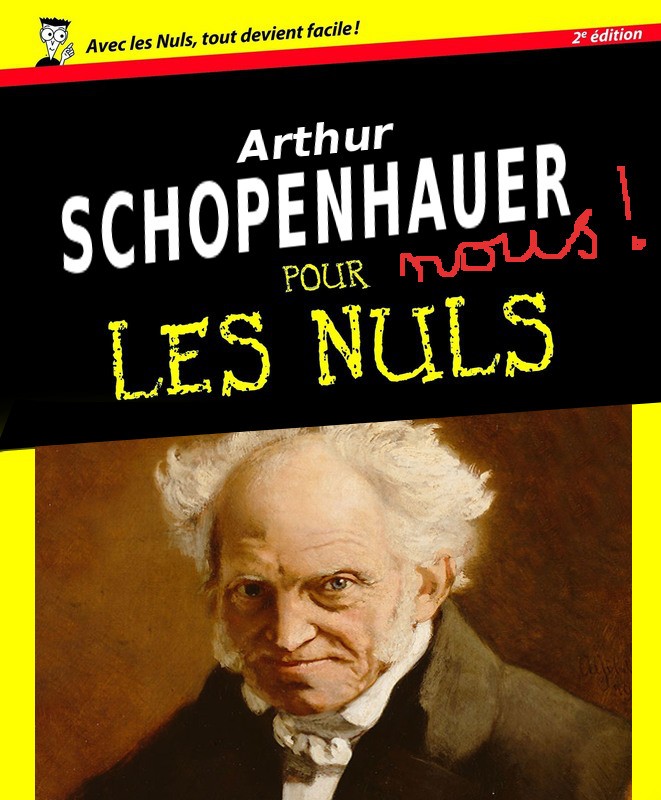 Schopenhauer pour nous, les nuls !