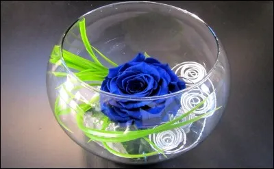 Dans ''La Belle et la Bête'', quelle est la fleur ne devant pas faner ?