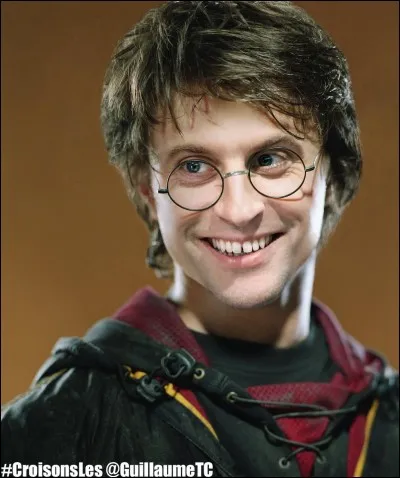 Harry Potter est un sorcier