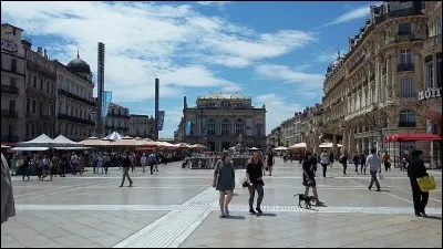 Insolite maillot de football - Pourquoi le club de Montpellier n'a pas pu jouer avec ses nouveaux maillots en août 2017 ?