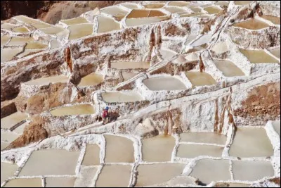 Quel est le nom de ces salines composées de 3 600 bassins ?