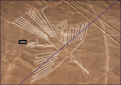 Comment les géoglyphes de Nazca sont-ils communément appelés ?