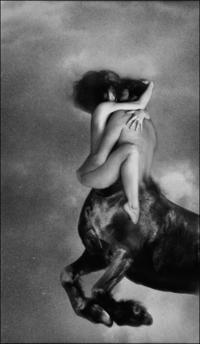 Qui est ce centaure tentant d'enlever Déjanire la femme d'Héraclès ?