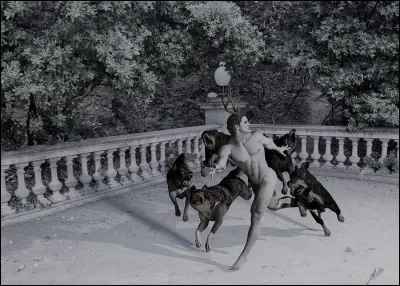 Malheureux chasseur métamorphosé en cerf et becté par ses chiens pour avoir surpris la déesse Artémis nue pendant ses ablutions. Qui est-il ?