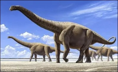Quel était le plus grand dinosaure ?