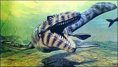 Quelle est la longueur du mosasaure ?