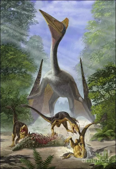Quel est le ptérosaure qui peut se dresser à la même hauteur qu'une girafe ?